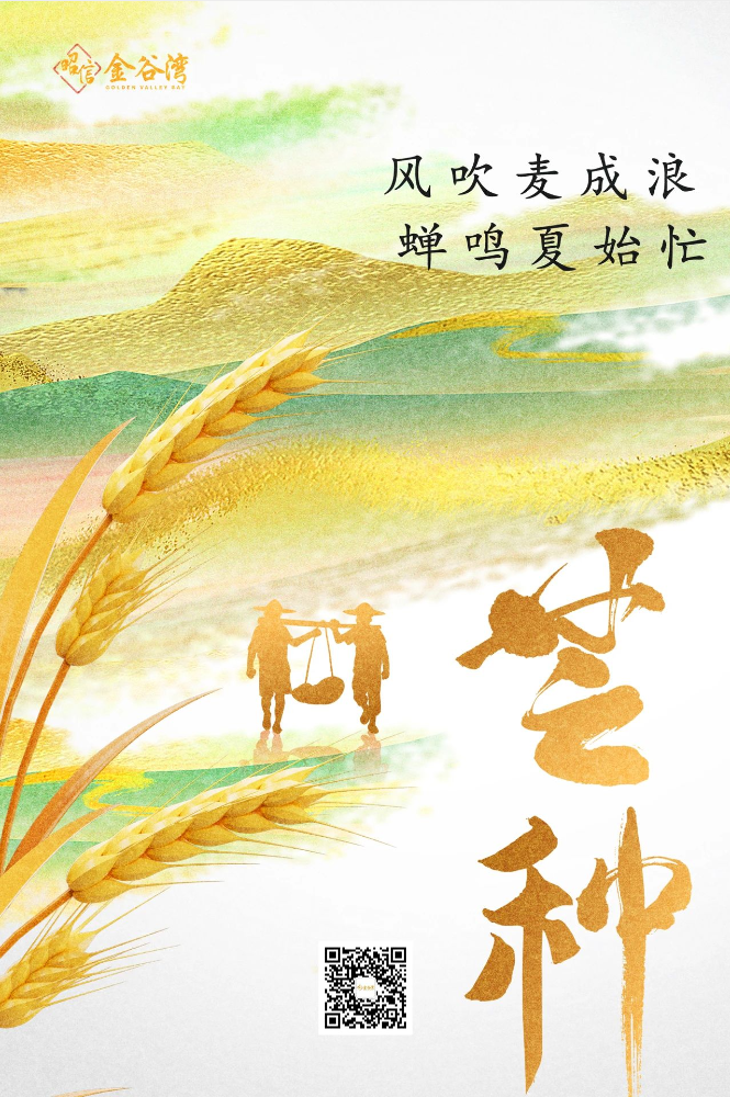 芒种官网图.PNG
